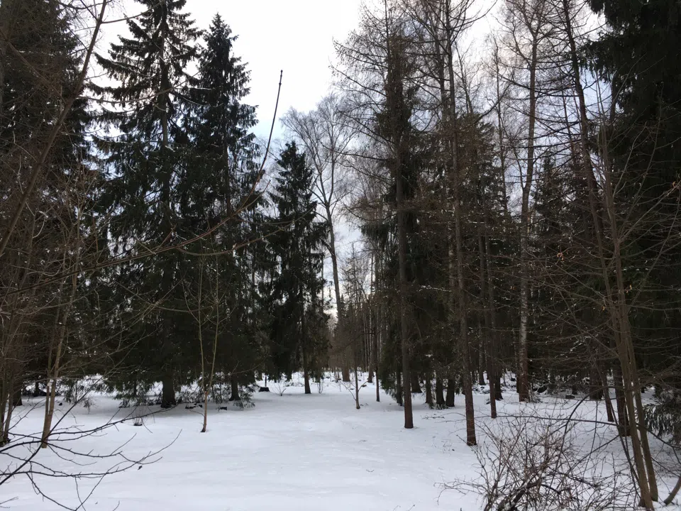 Пастельный особняк в лесу, фото 21
