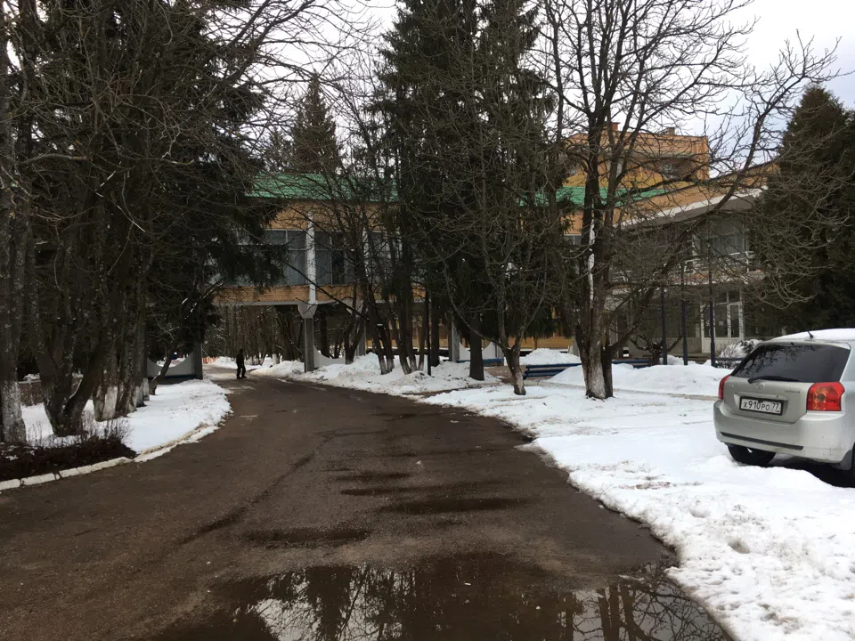 Пастельный особняк в лесу, фото 2