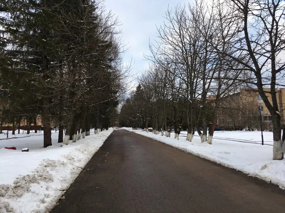 Пастельный особняк в лесу, фото 6
