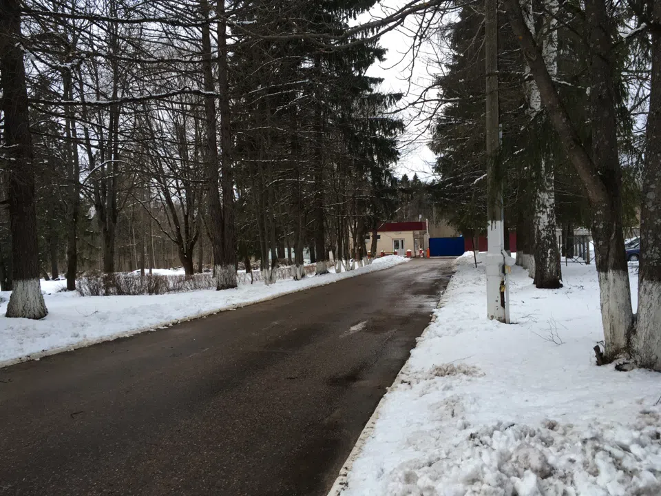 Пастельный особняк в лесу, фото 4