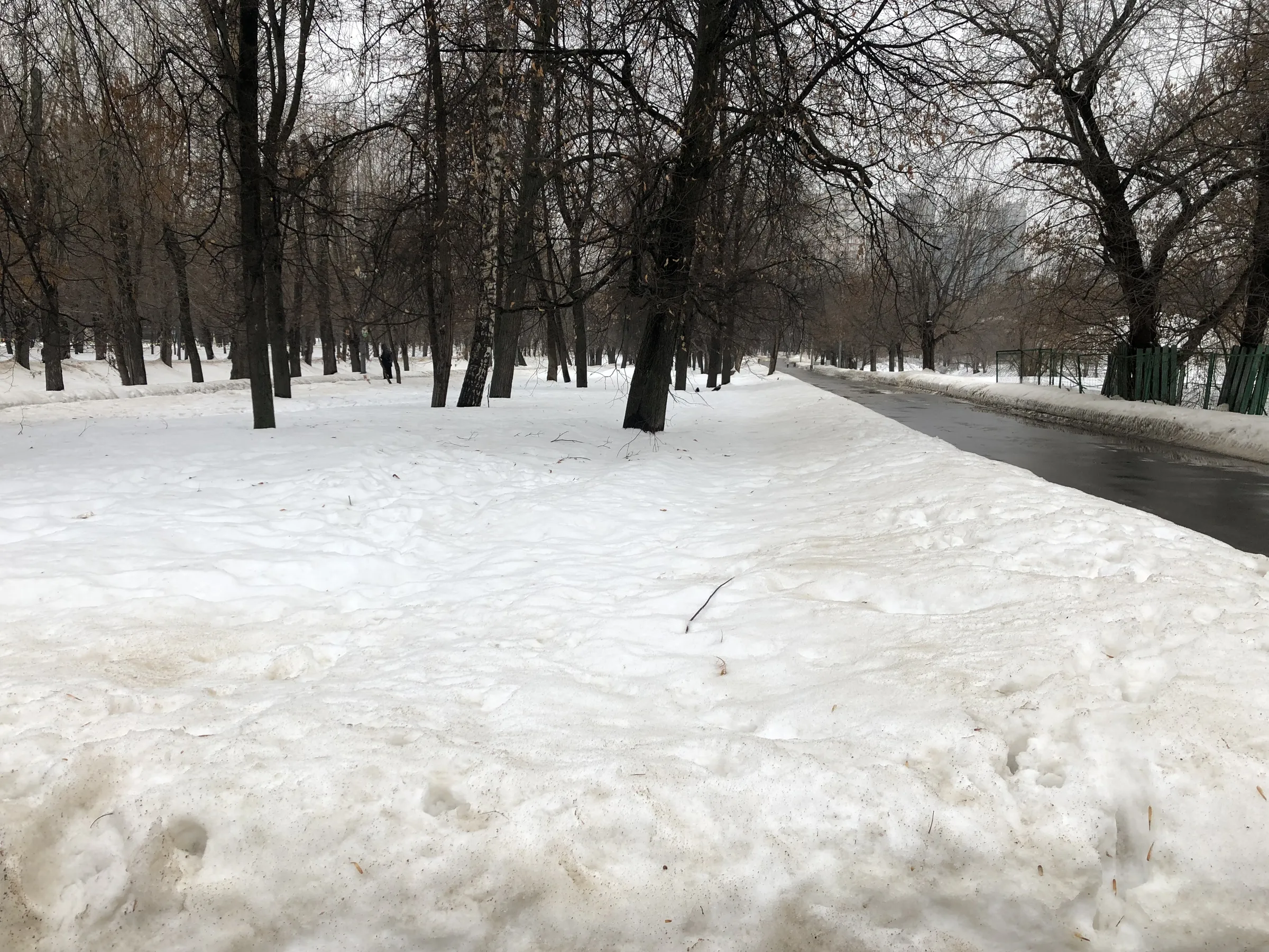 Зимний парк со статуей, фото 21