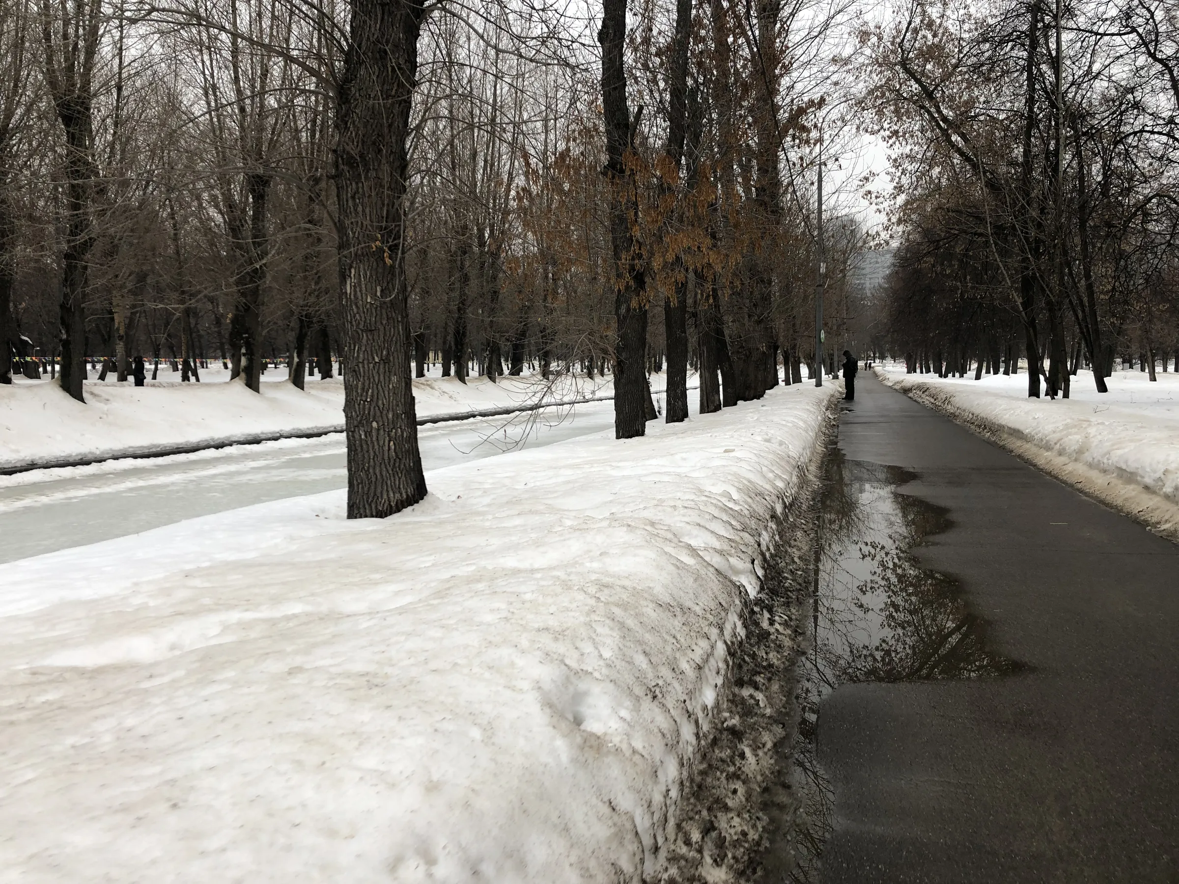 Зимний парк со статуей, фото 23