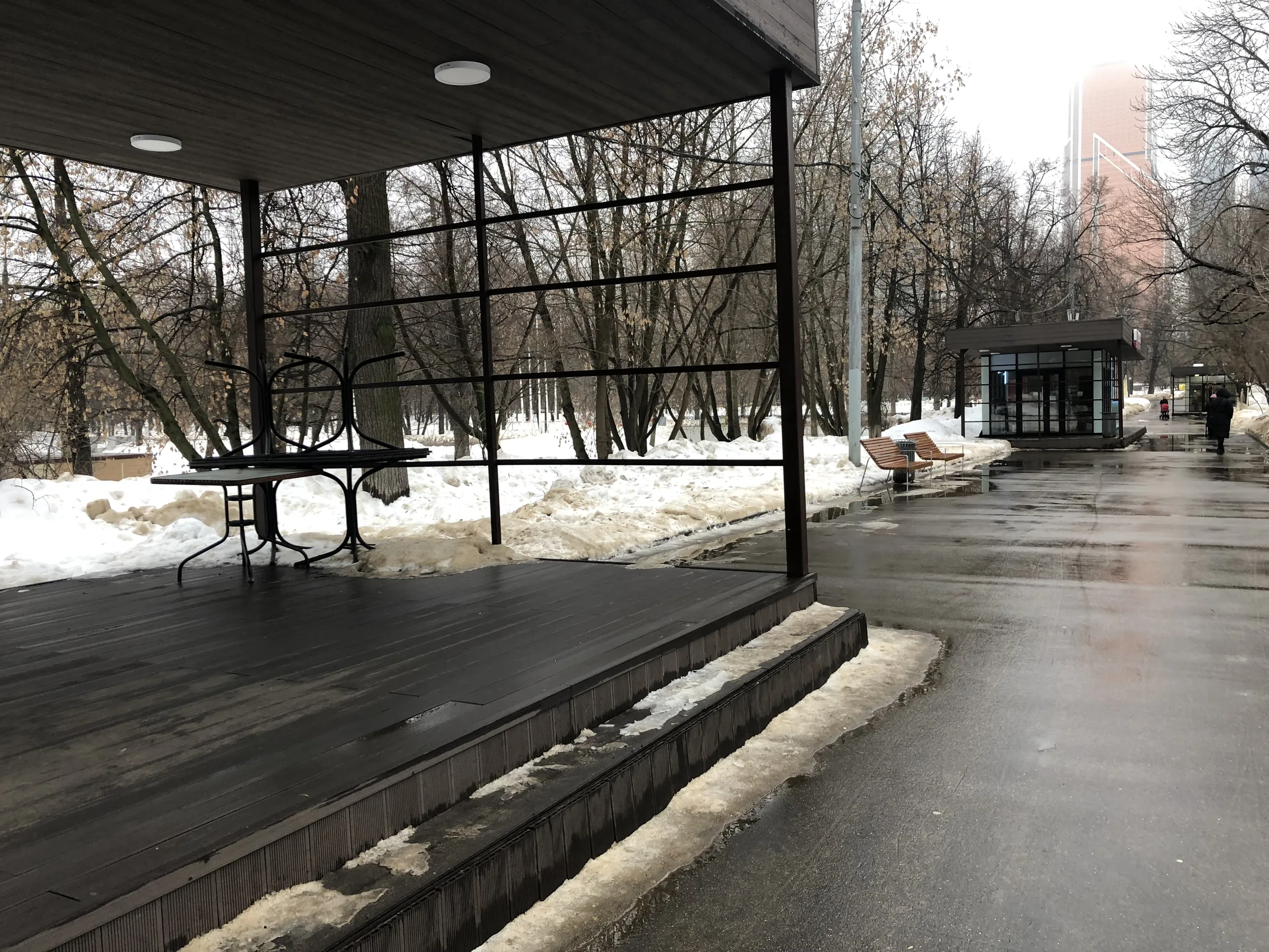Зимний парк со статуей, фото 14
