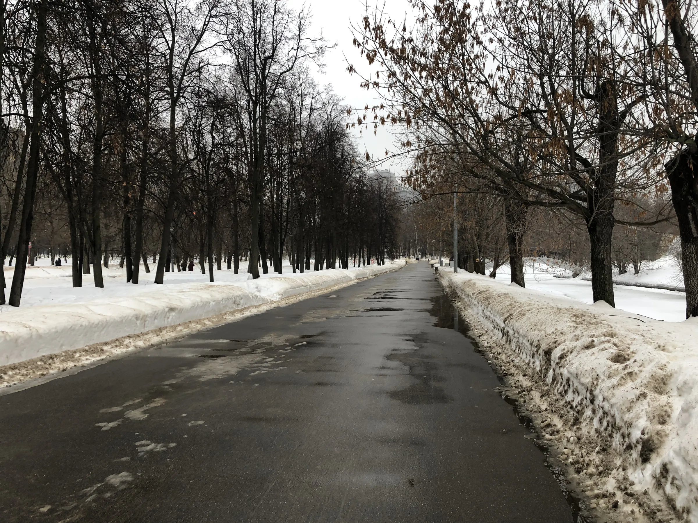 Зимний парк со статуей, фото 20