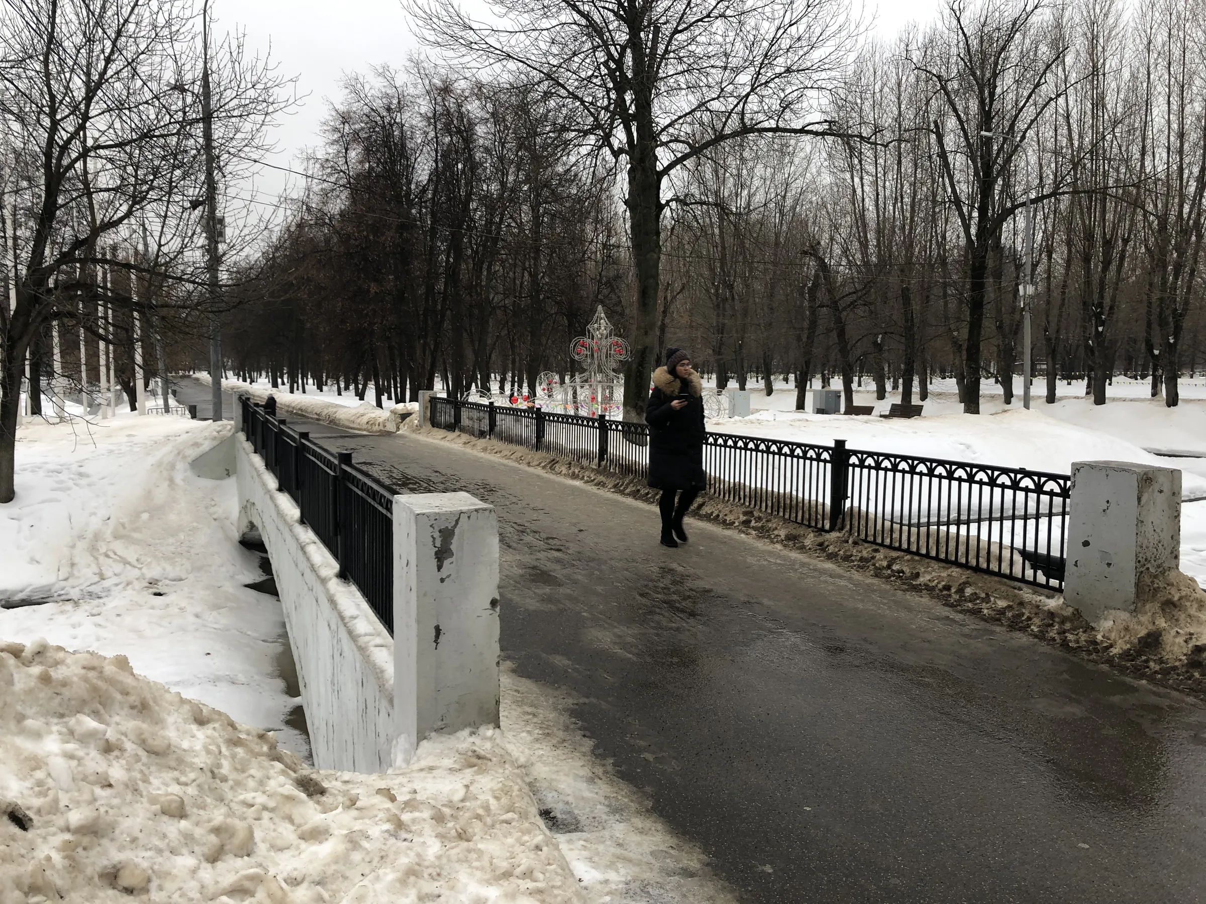 Зимний парк со статуей, фото 15