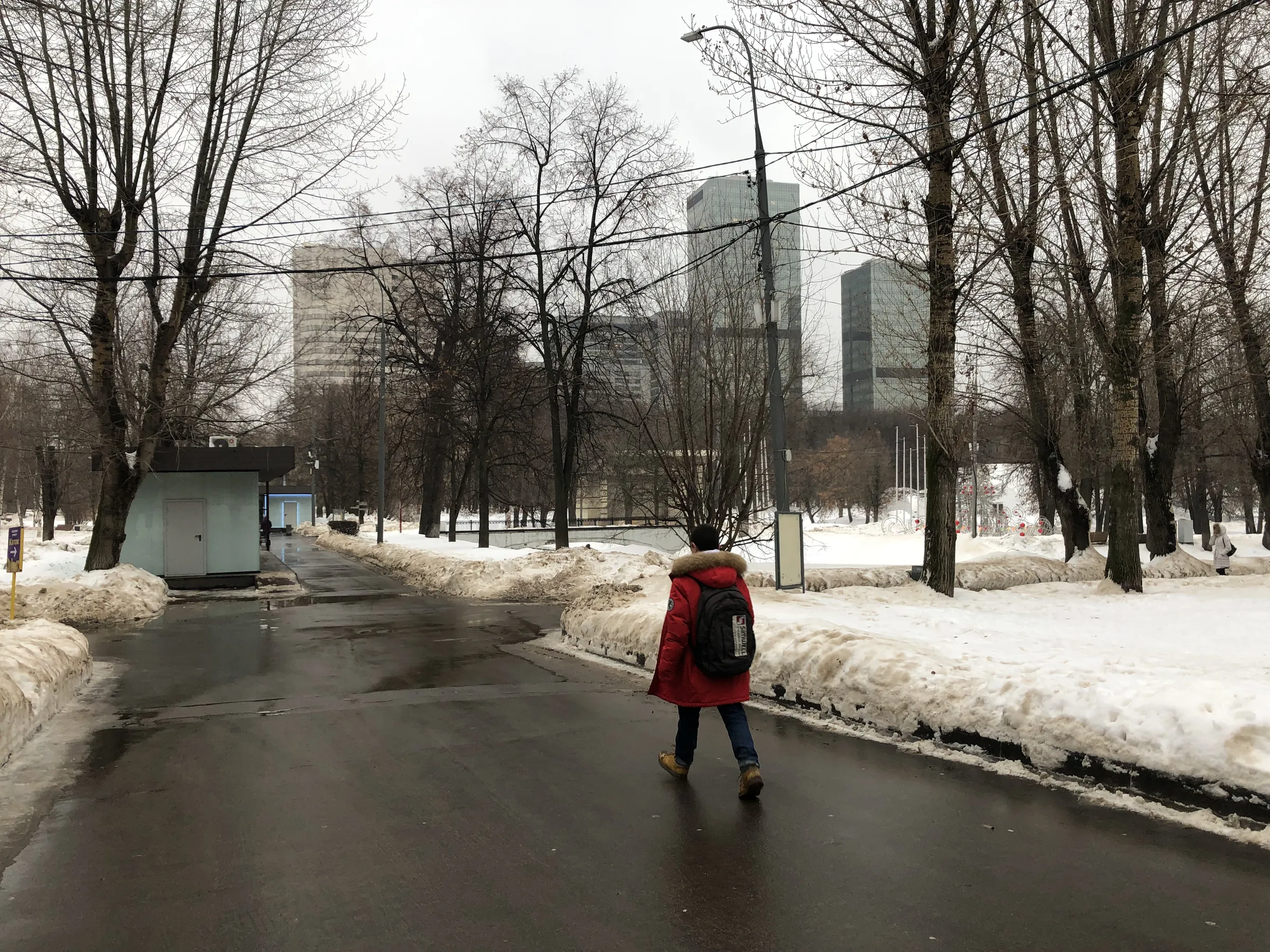 Зимний парк со статуей, фото 24