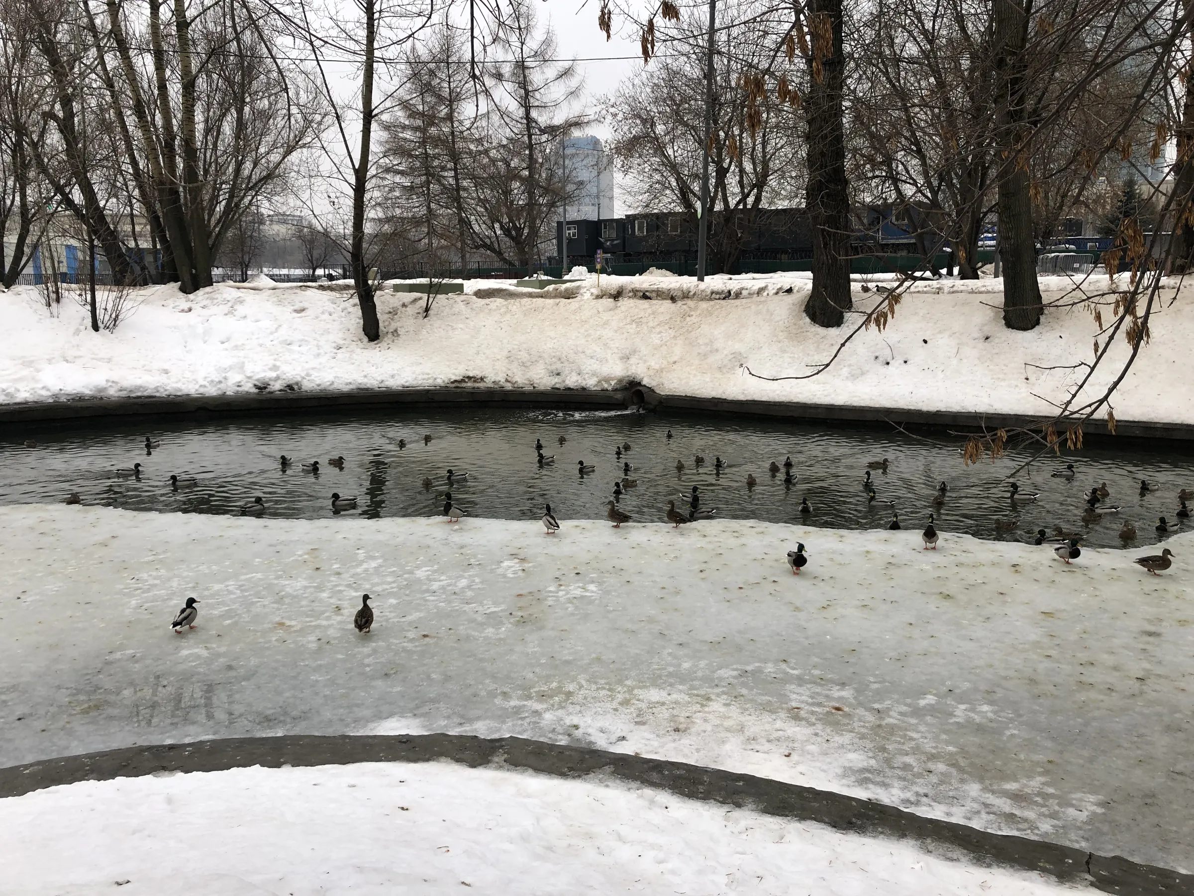 Зимний парк со статуей, фото 22