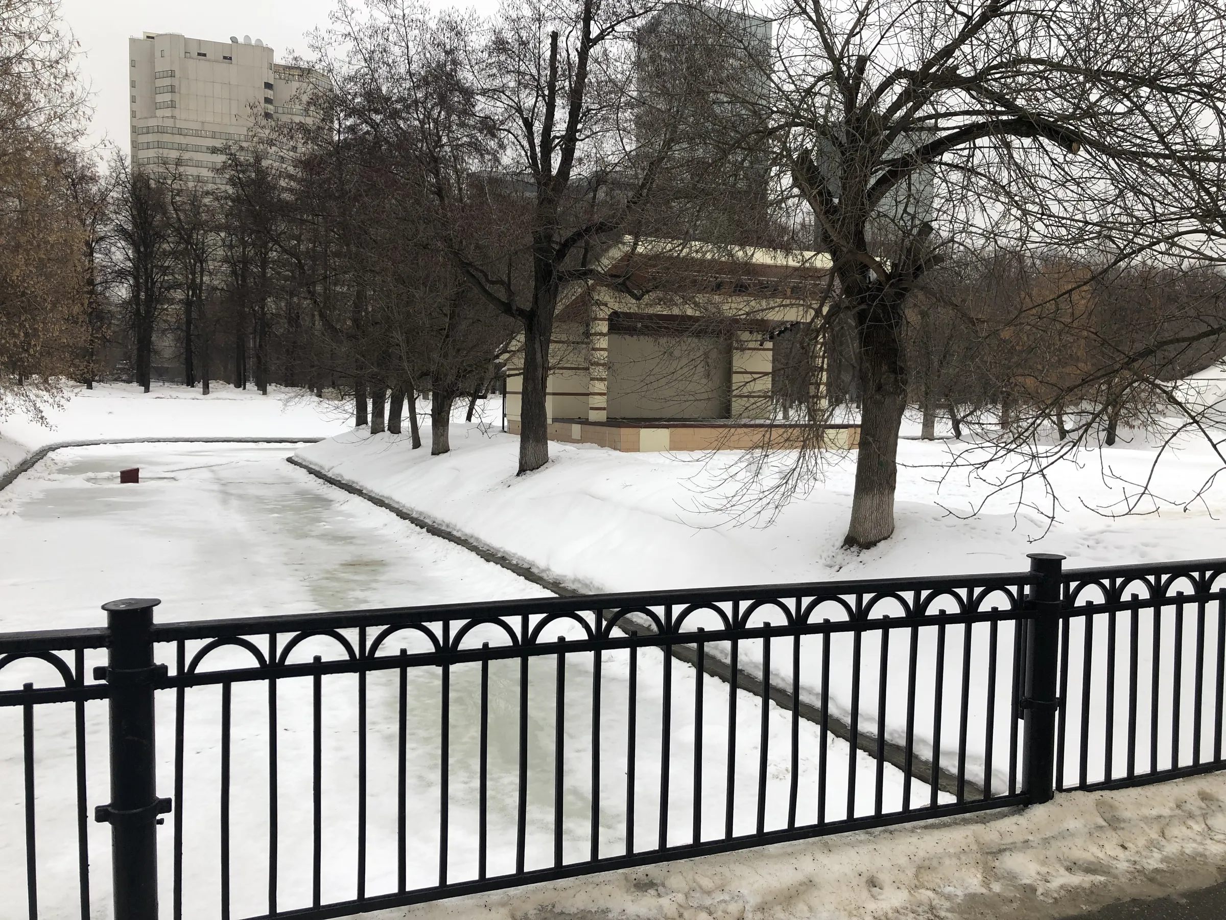 Зимний парк со статуей, фото 16