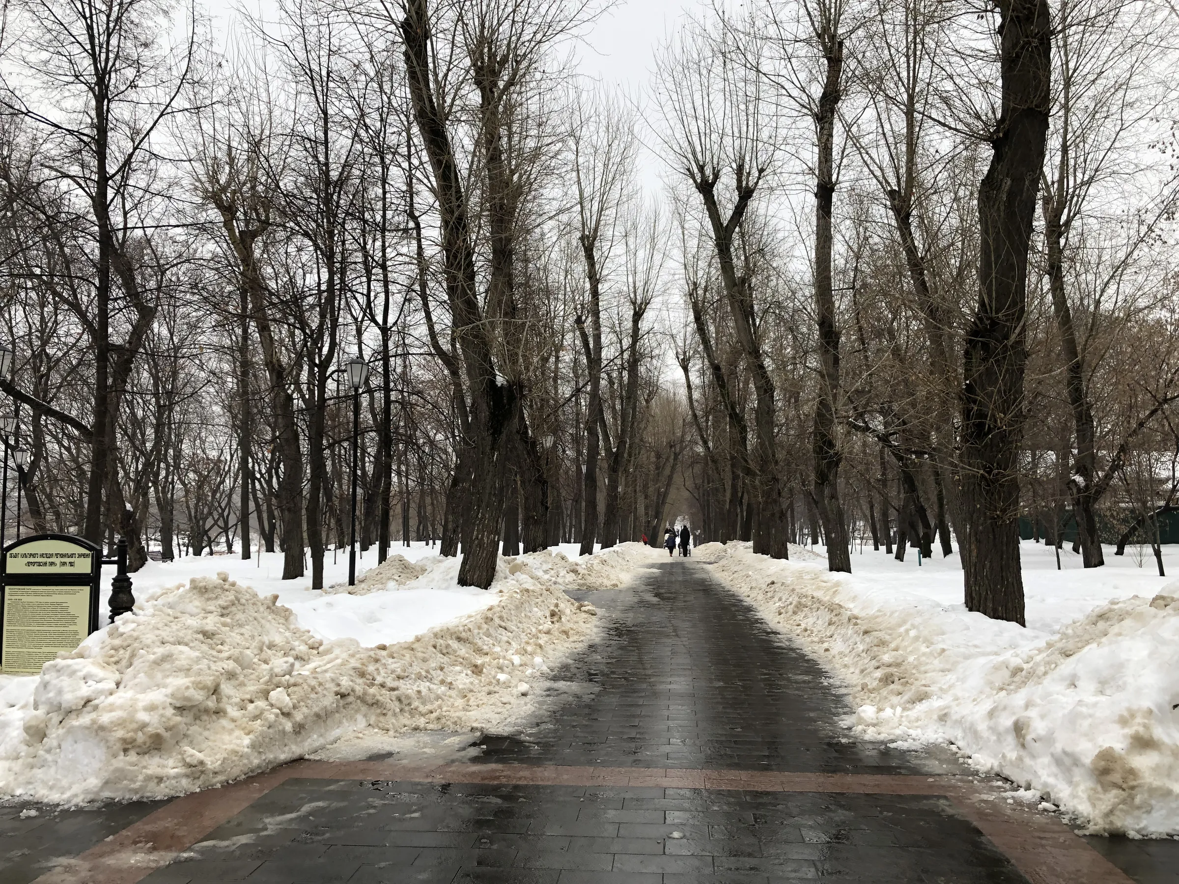 Парк с аркой и трамваем, фото 4