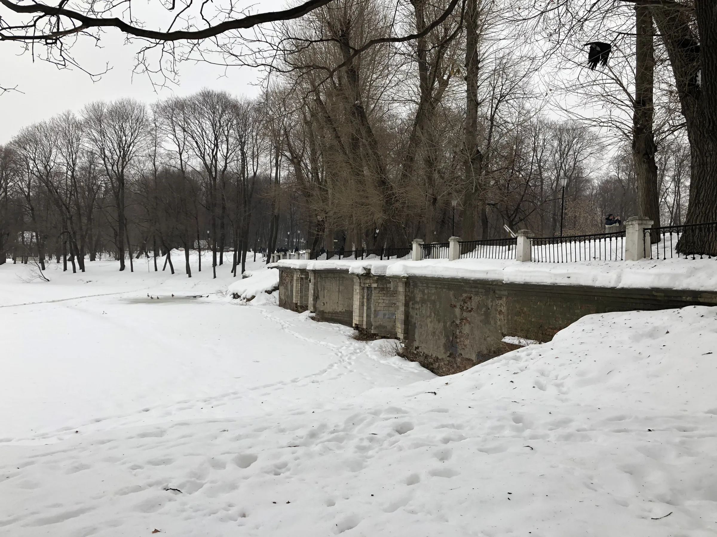 Парк с аркой и трамваем, фото 10