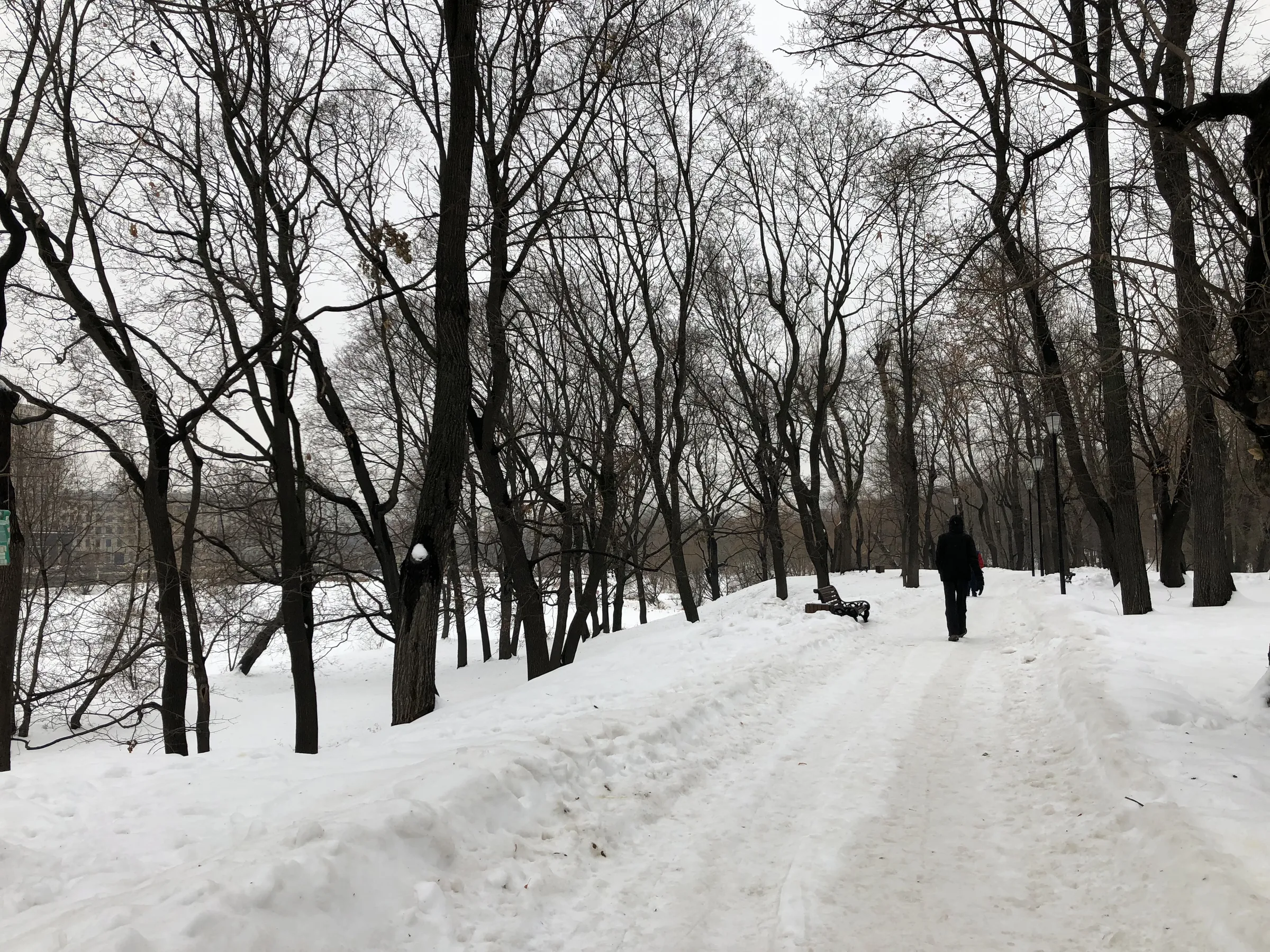 Парк с аркой и трамваем, фото 5