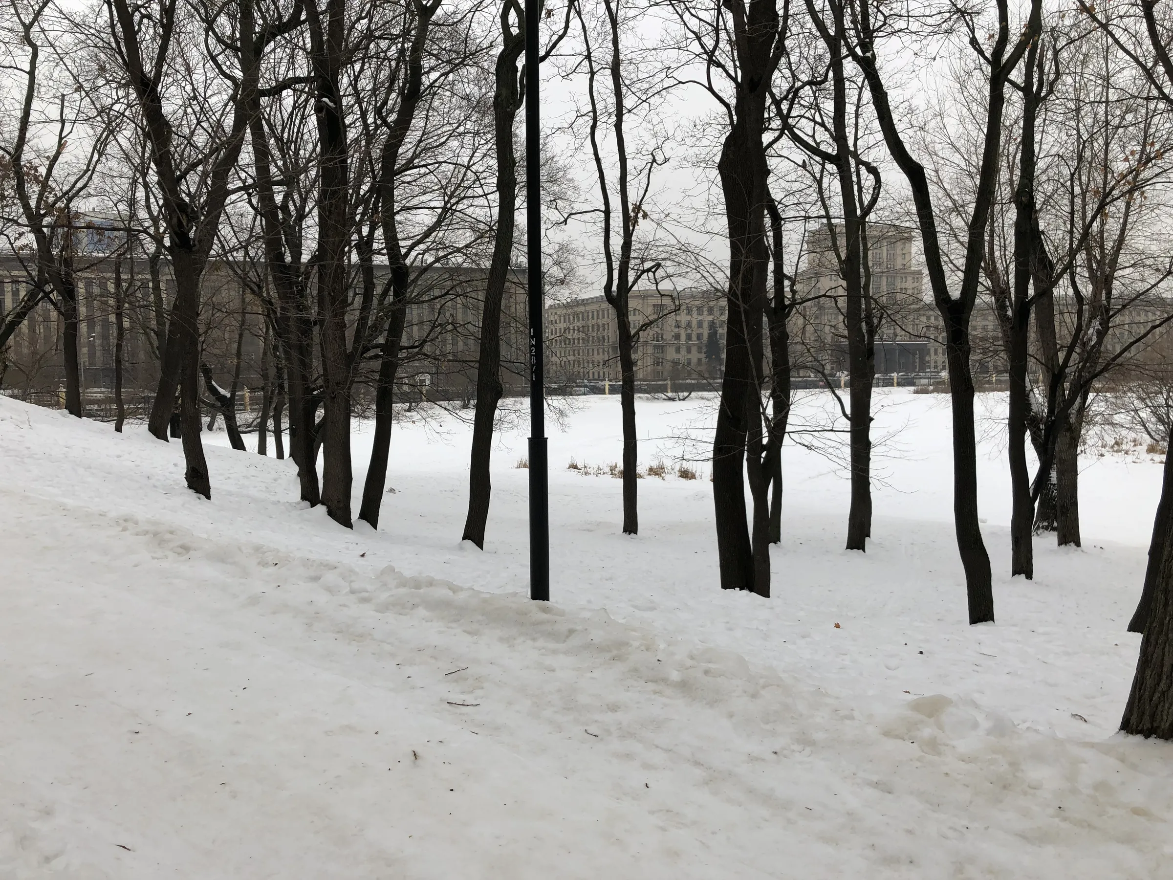 Парк с аркой и трамваем, фото 8