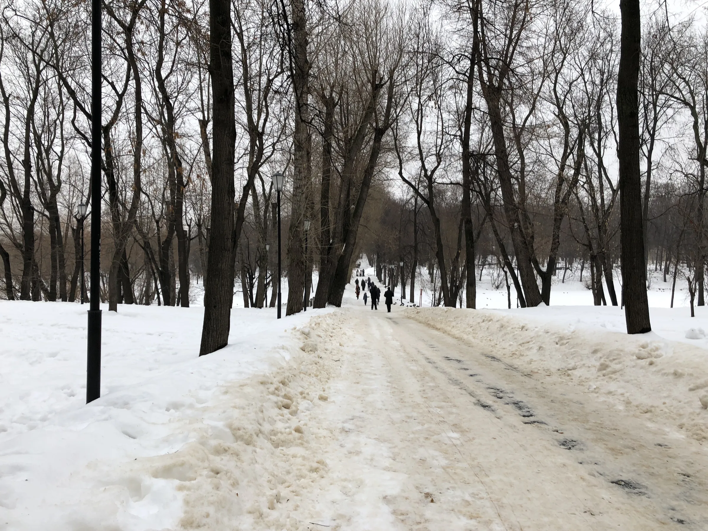 Парк с аркой и трамваем, фото 6