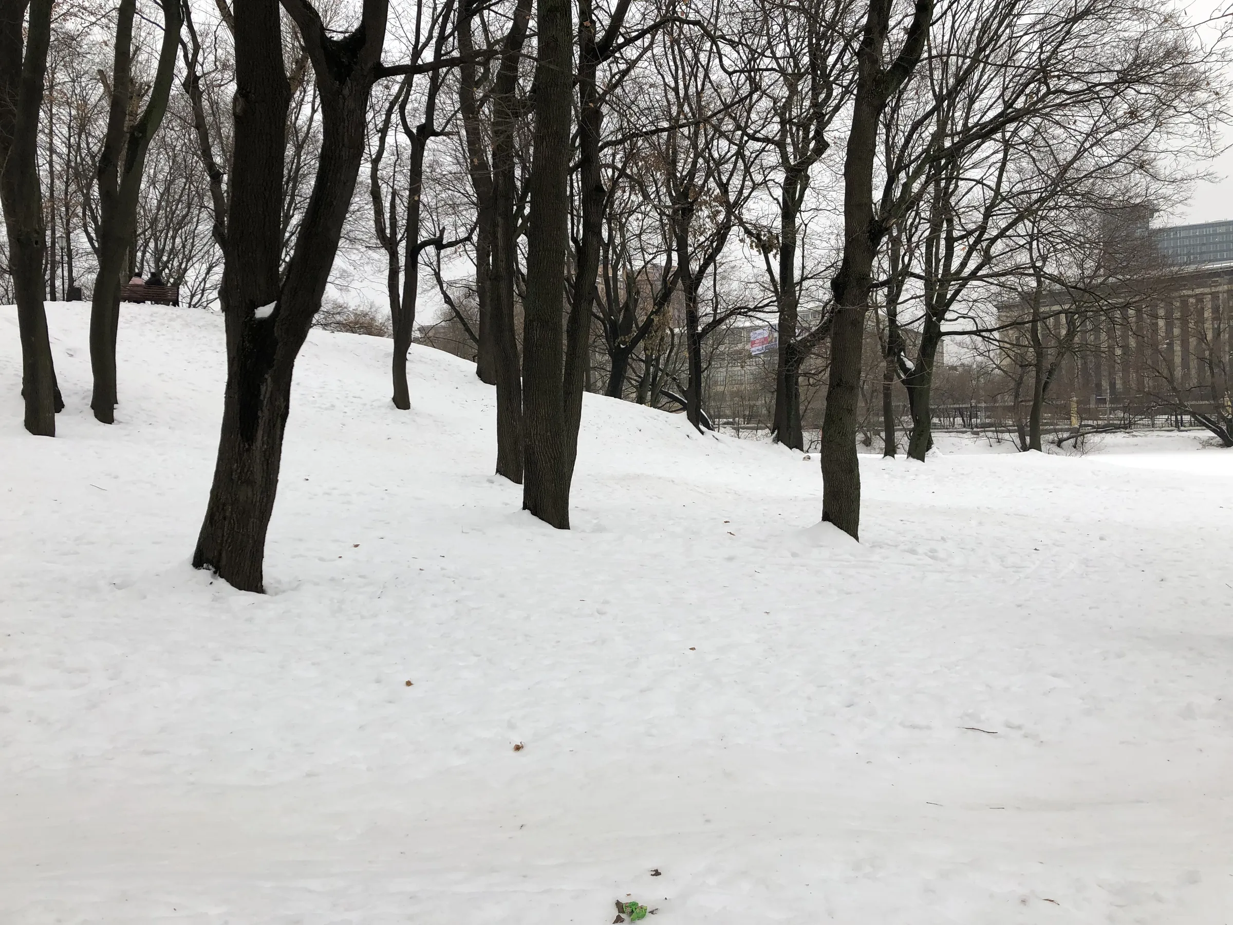Парк с аркой и трамваем, фото 11