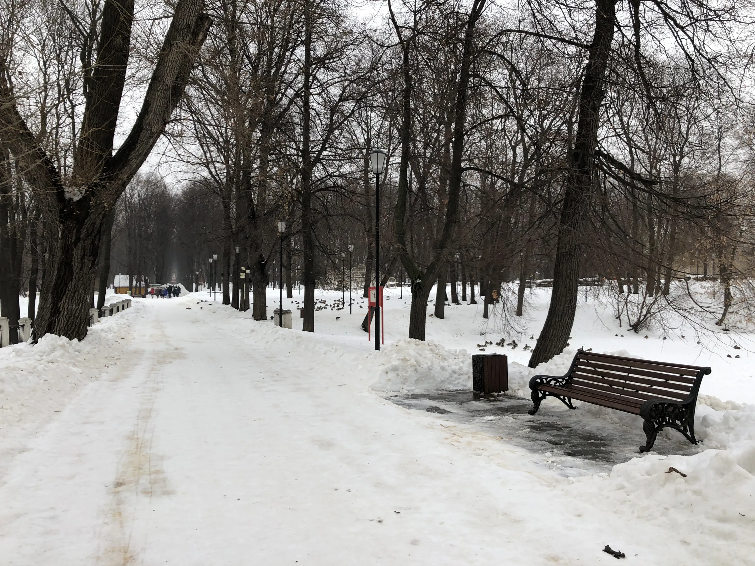 Парк с аркой и трамваем, фото 13