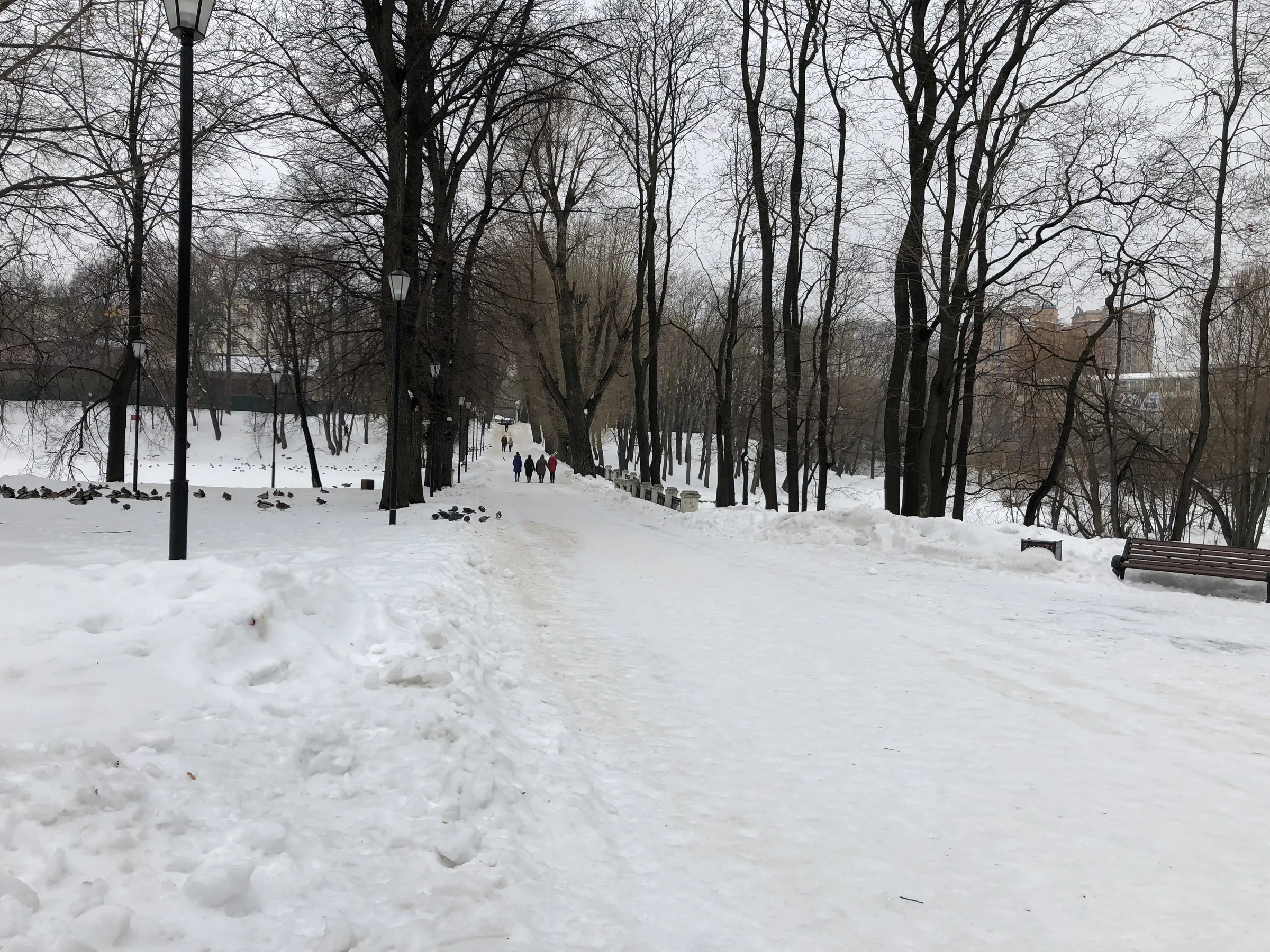 Парк с аркой и трамваем, фото 18