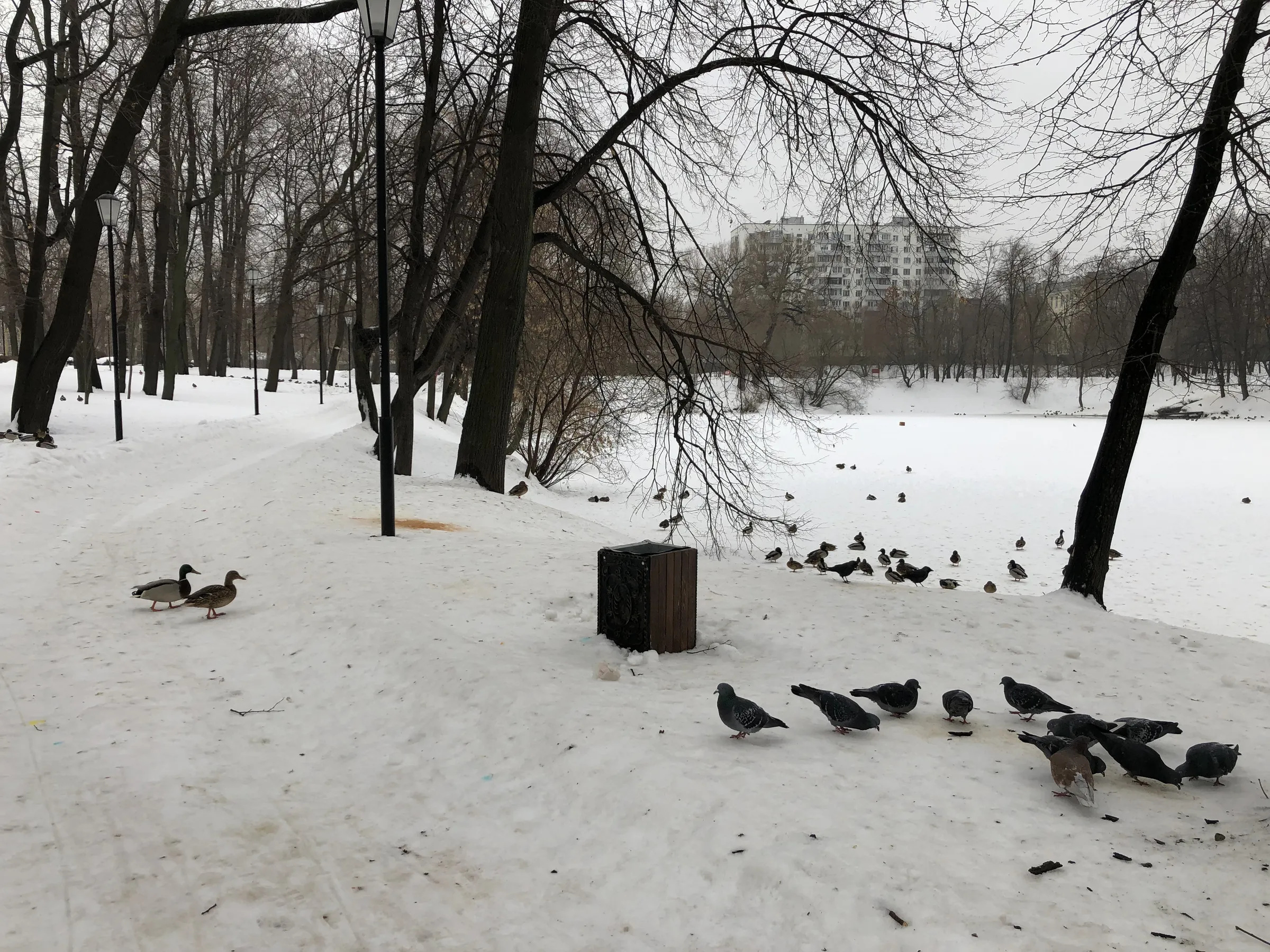 Парк с аркой и трамваем, фото 14