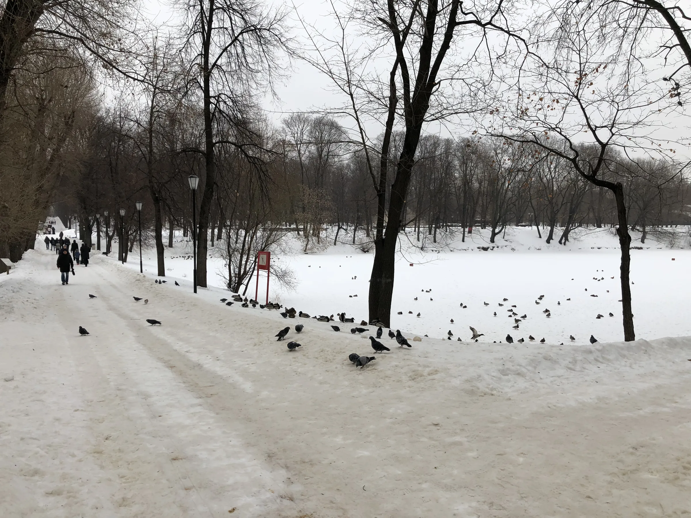 Парк с аркой и трамваем, фото 9