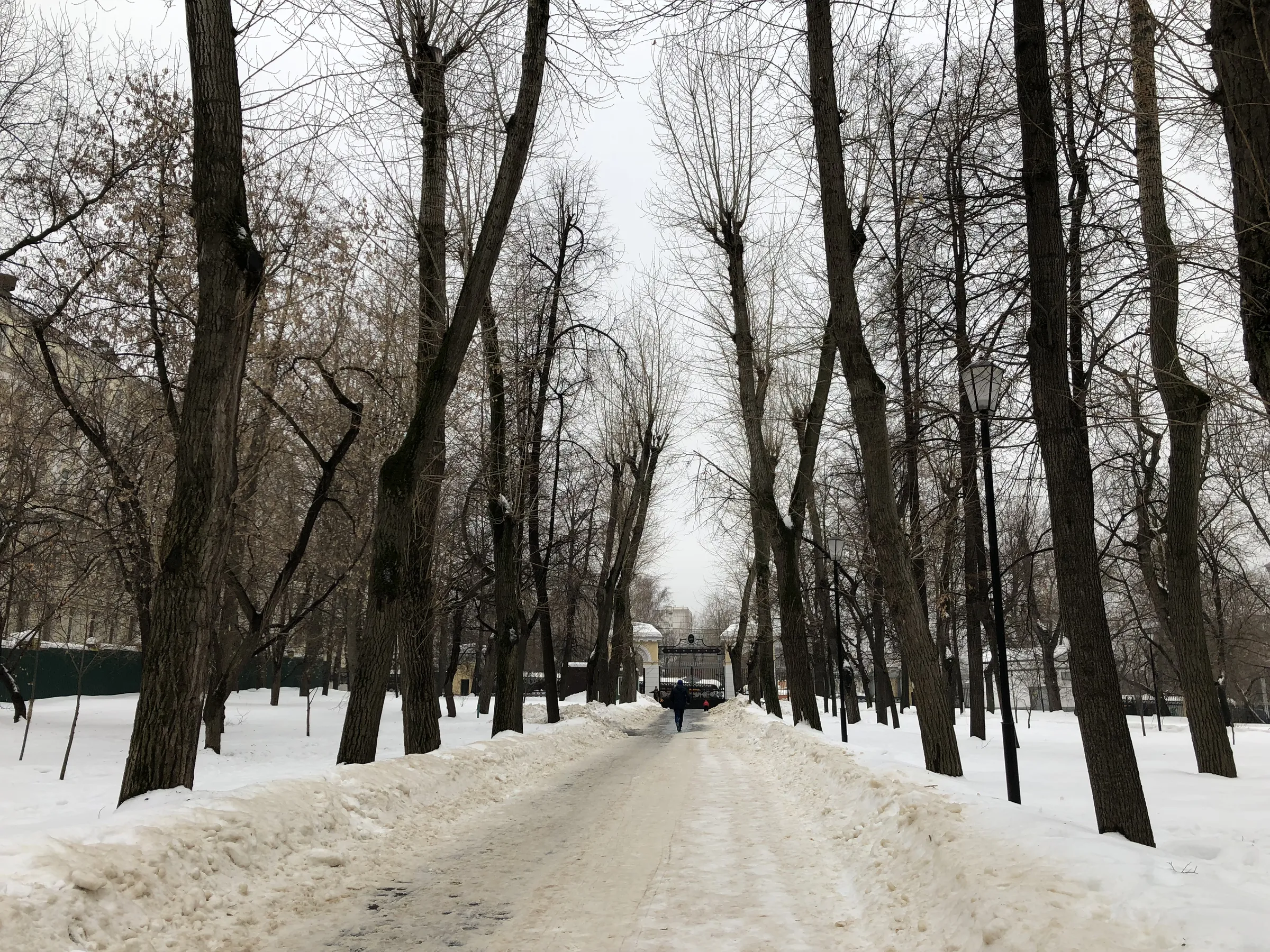 Парк с аркой и трамваем, фото 7