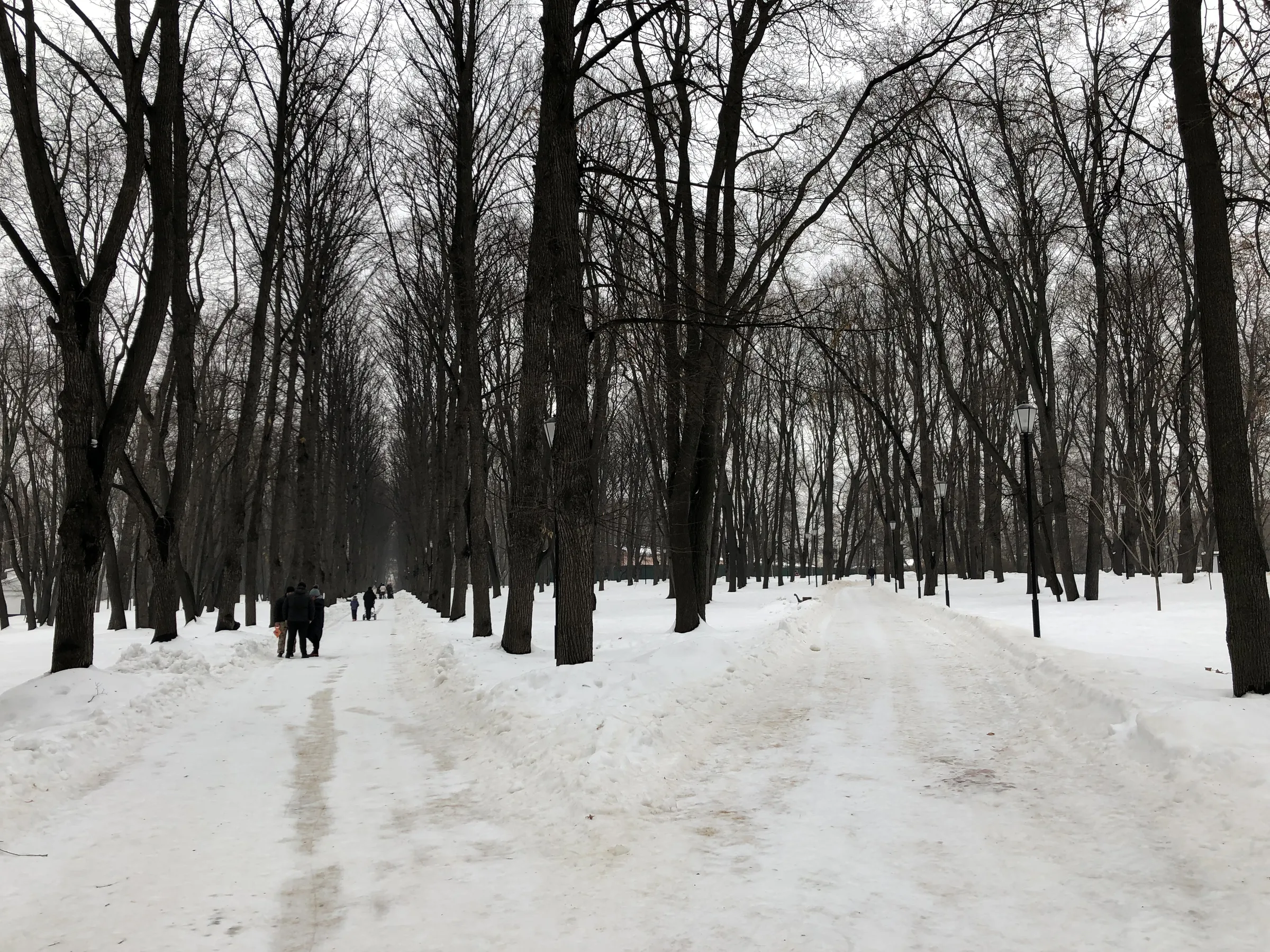 Парк с аркой и трамваем, фото 21