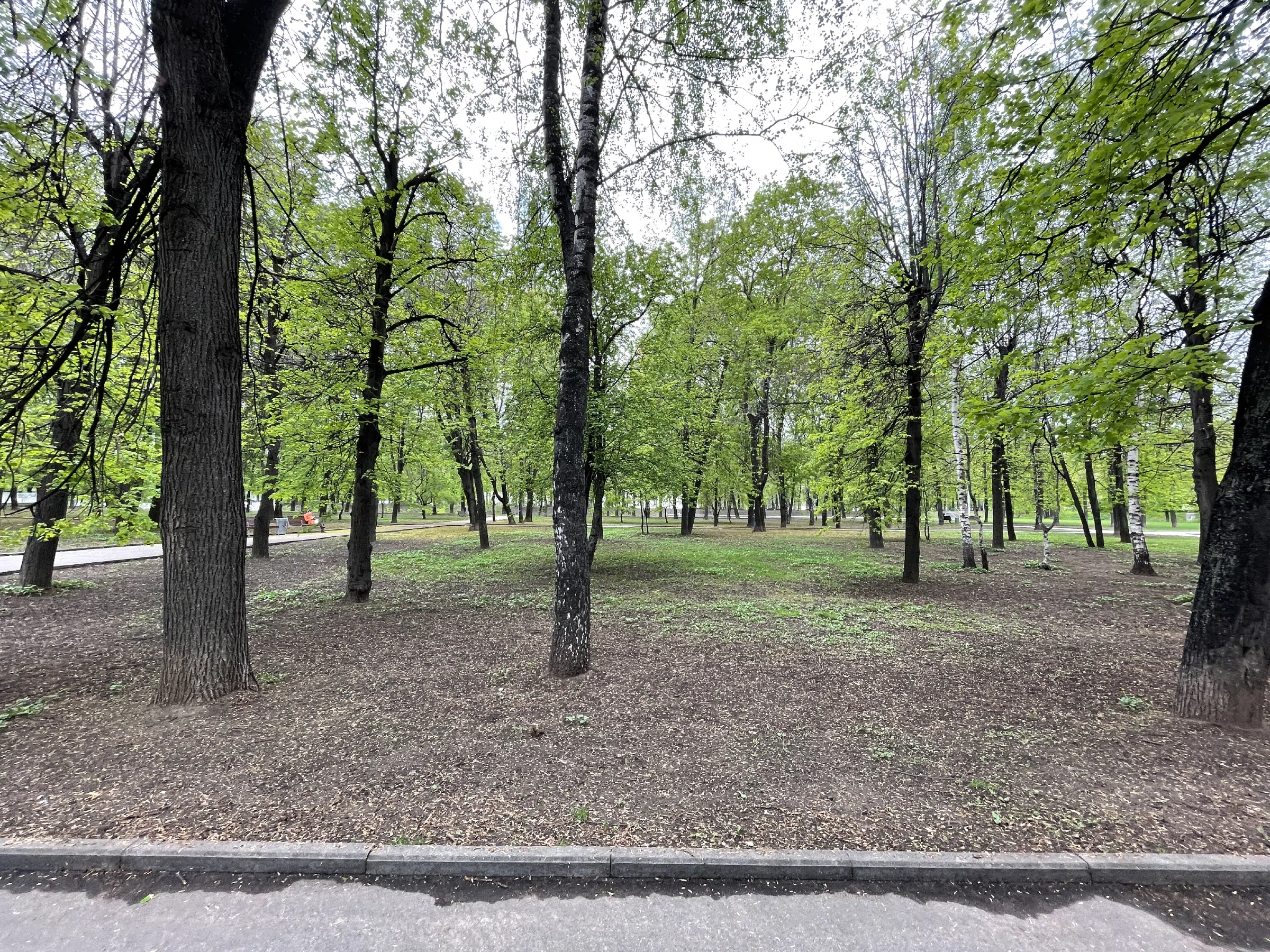 Канал сквозь парк, фото 20