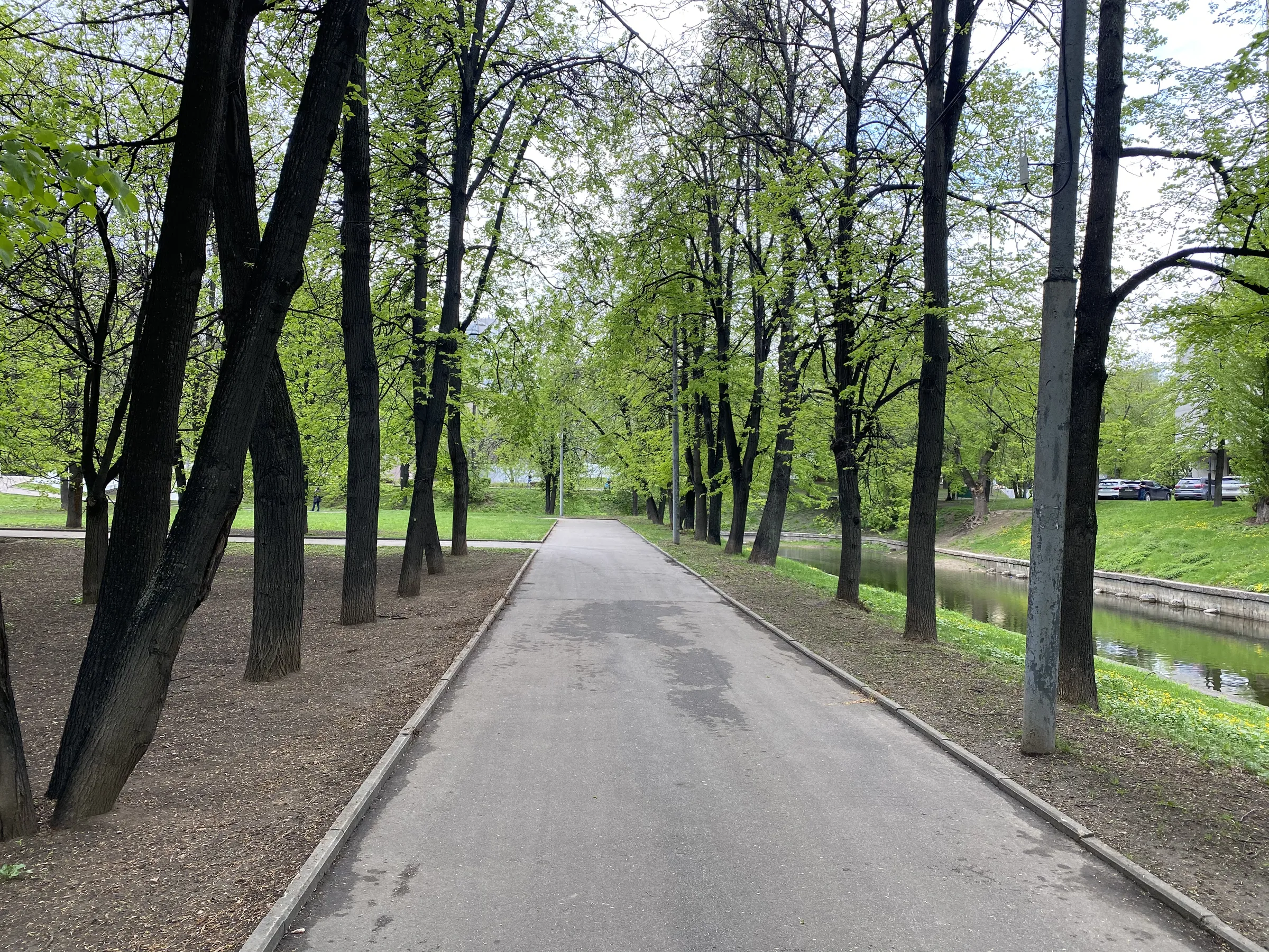 Канал сквозь парк, фото 1