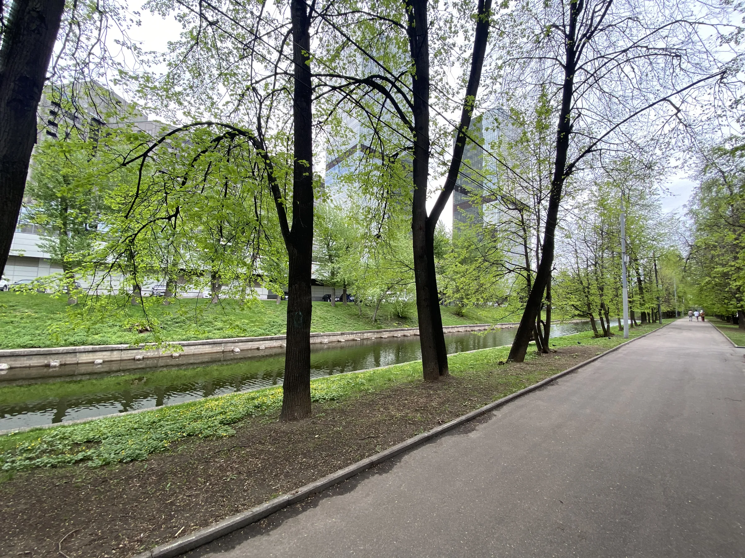 Канал сквозь парк, фото 4