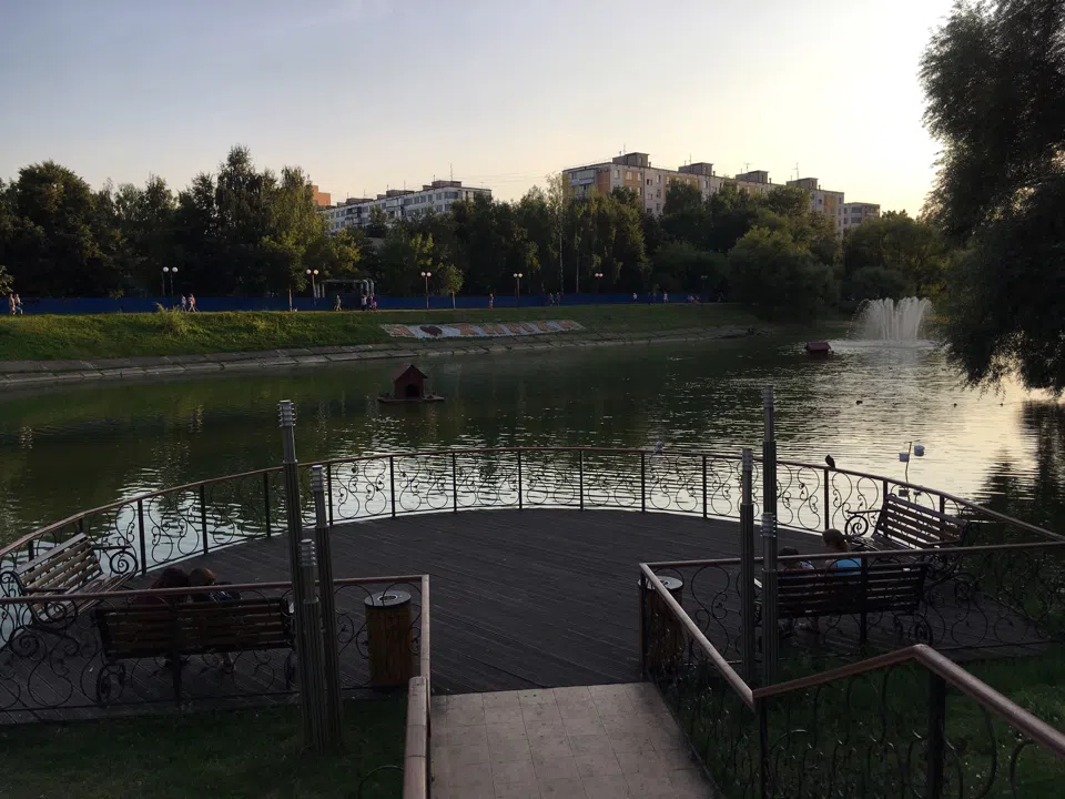 Парк у пруда с лебедями, фото 12