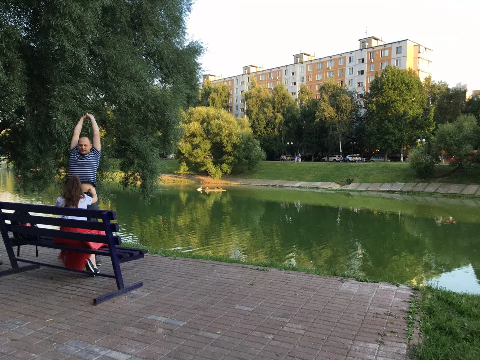 Парк у пруда с лебедями, фото 4