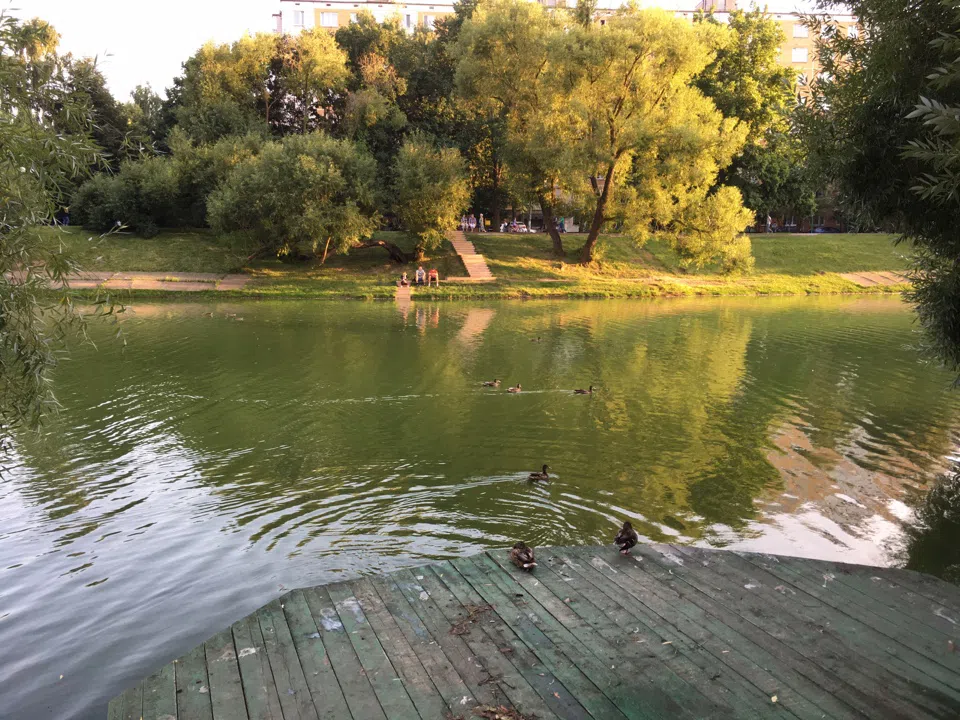 Парк у пруда с лебедями, фото 9