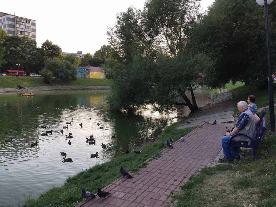 Парк у пруда с лебедями, фото 8