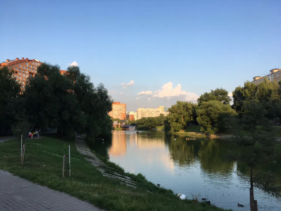 Парк у пруда с лебедями, фото 1