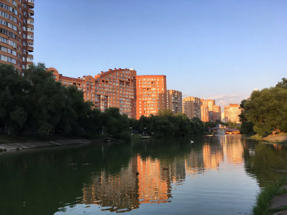 Парк у пруда с лебедями, фото 21