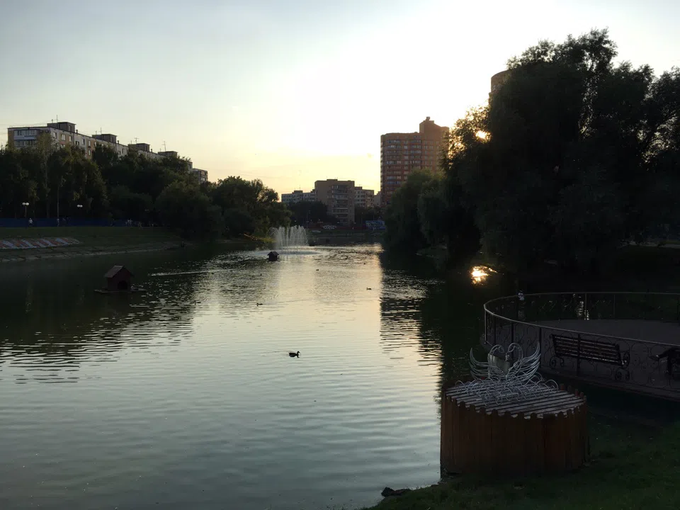 Парк у пруда с лебедями, фото 14