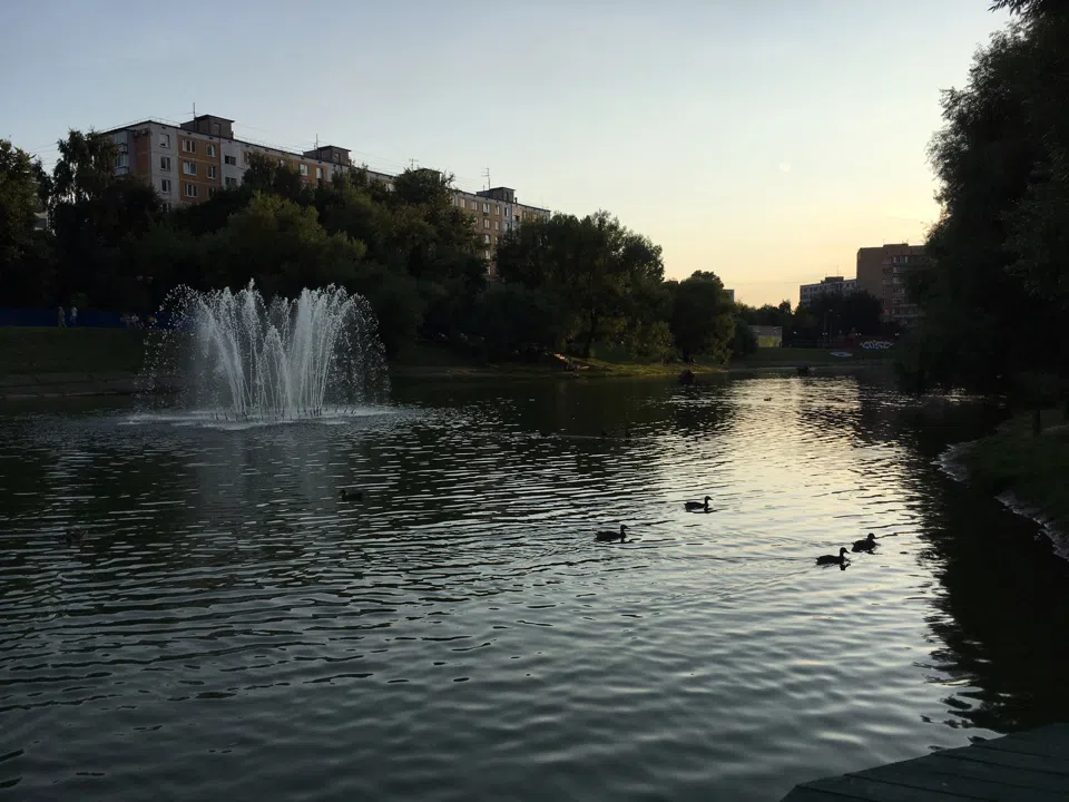 Парк у пруда с лебедями, фото 11