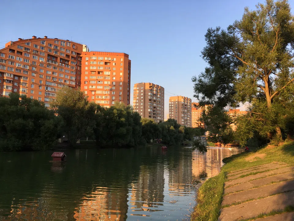 Парк у пруда с лебедями, фото 19