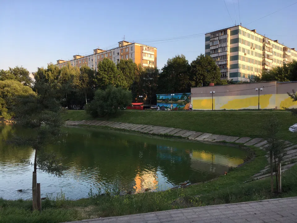 Парк у пруда с лебедями, фото 2