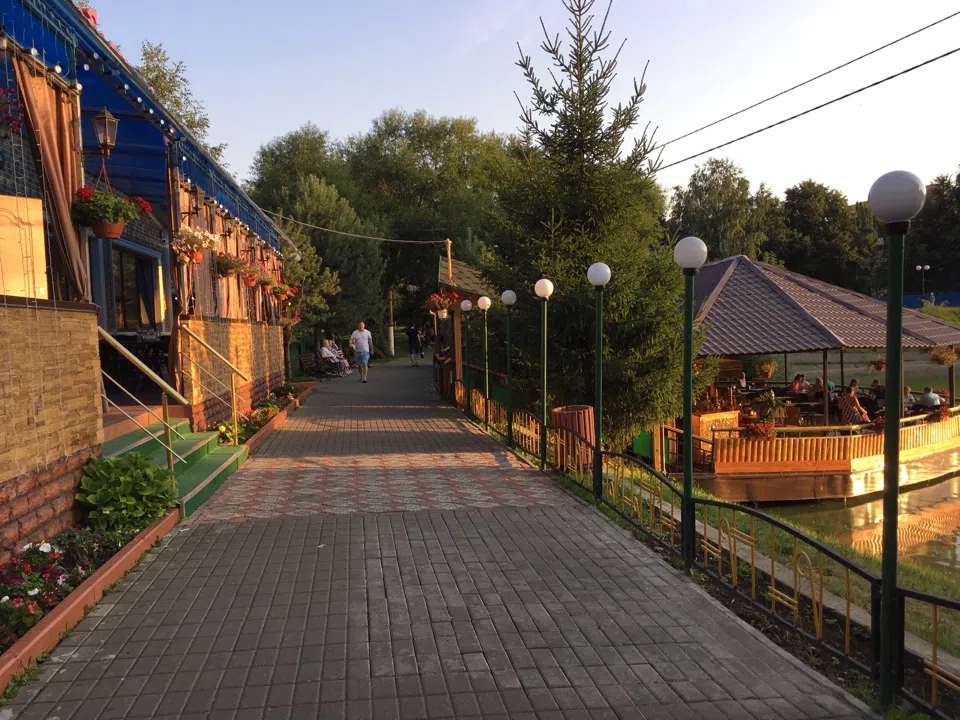Парк у пруда с лебедями, фото 13