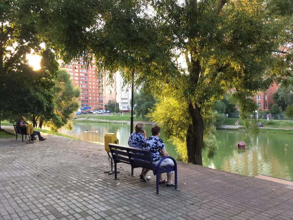 Парк у пруда с лебедями, фото 18