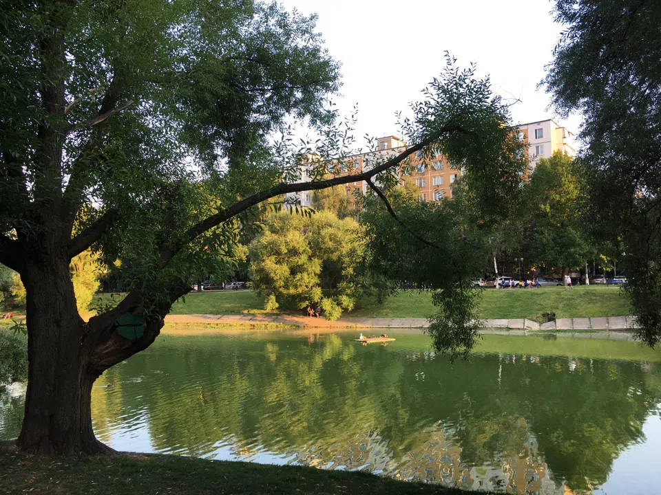 Парк у пруда с лебедями, фото 5
