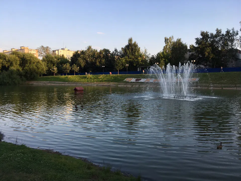 Парк у пруда с лебедями, фото 10