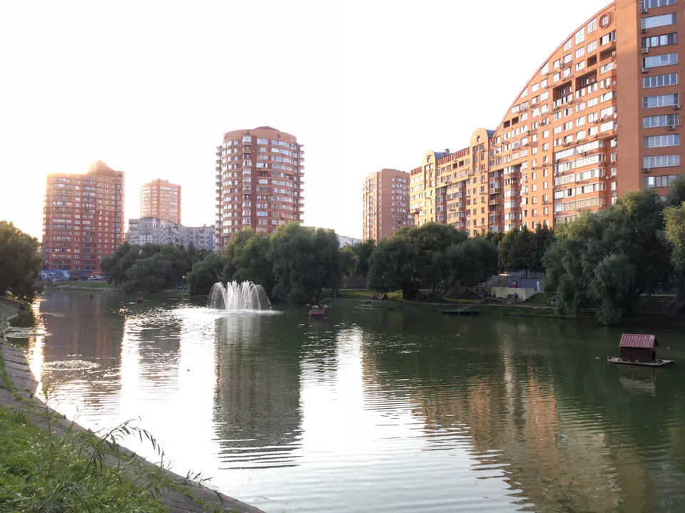 Парк у пруда с лебедями, фото 15