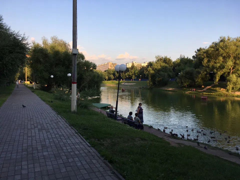 Парк у пруда с лебедями, фото 6