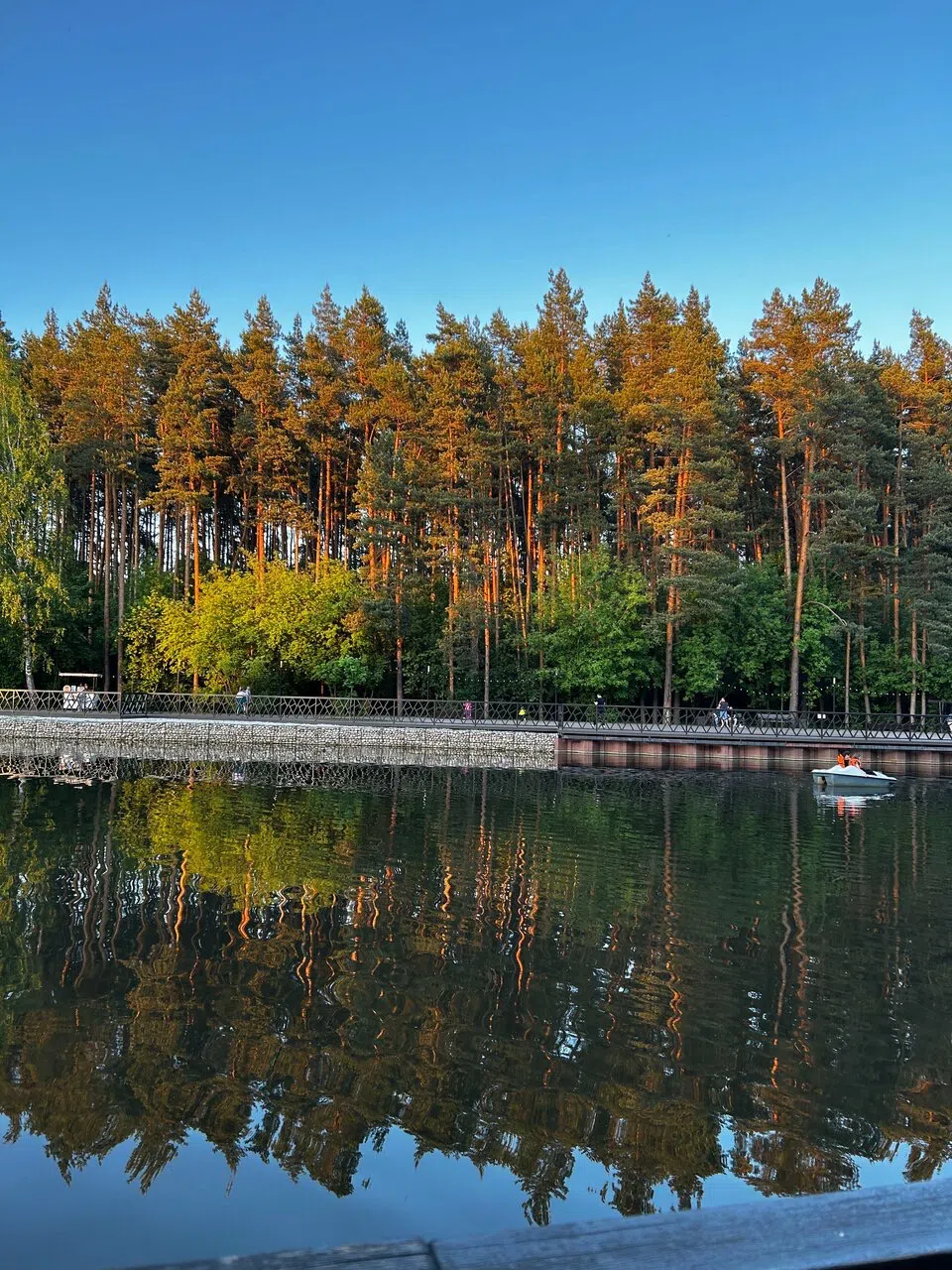 Ретро-парк с колесом, фото 10