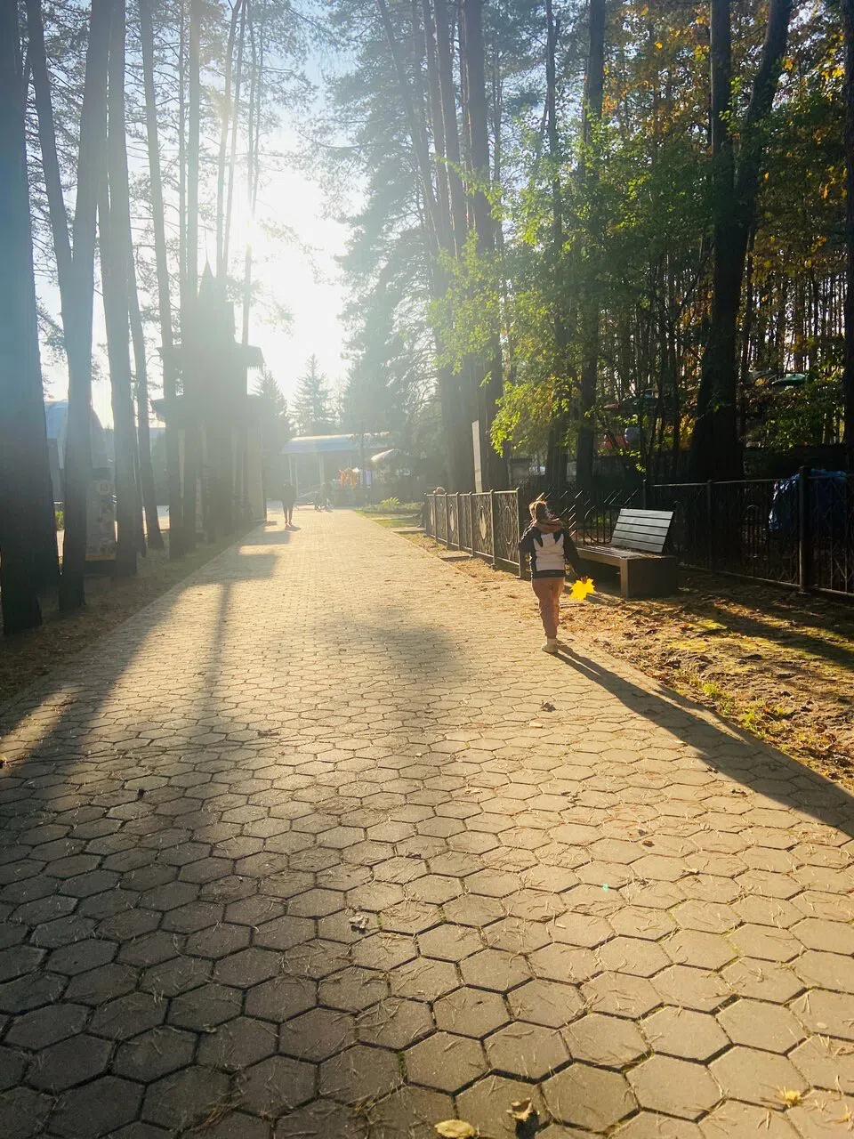 Ретро-парк с колесом, фото 18