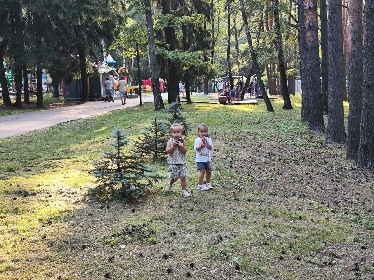 Ретро-парк с колесом, фото 19