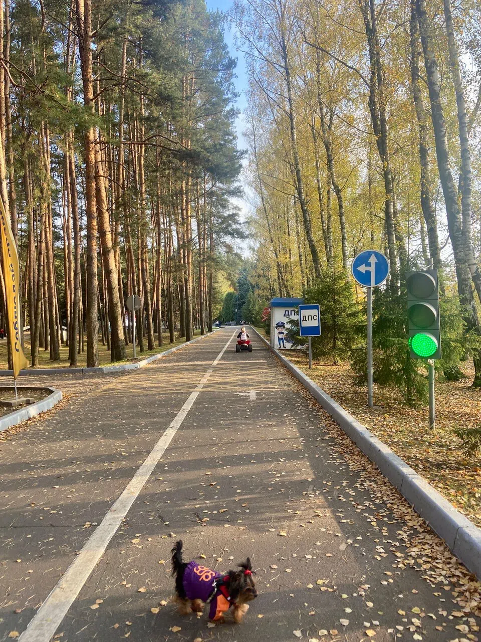 Ретро-парк с колесом, фото 7