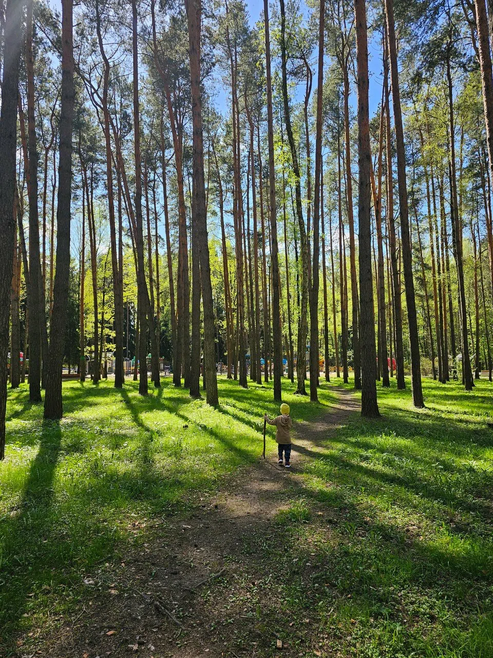 Ретро-парк с колесом, фото 13