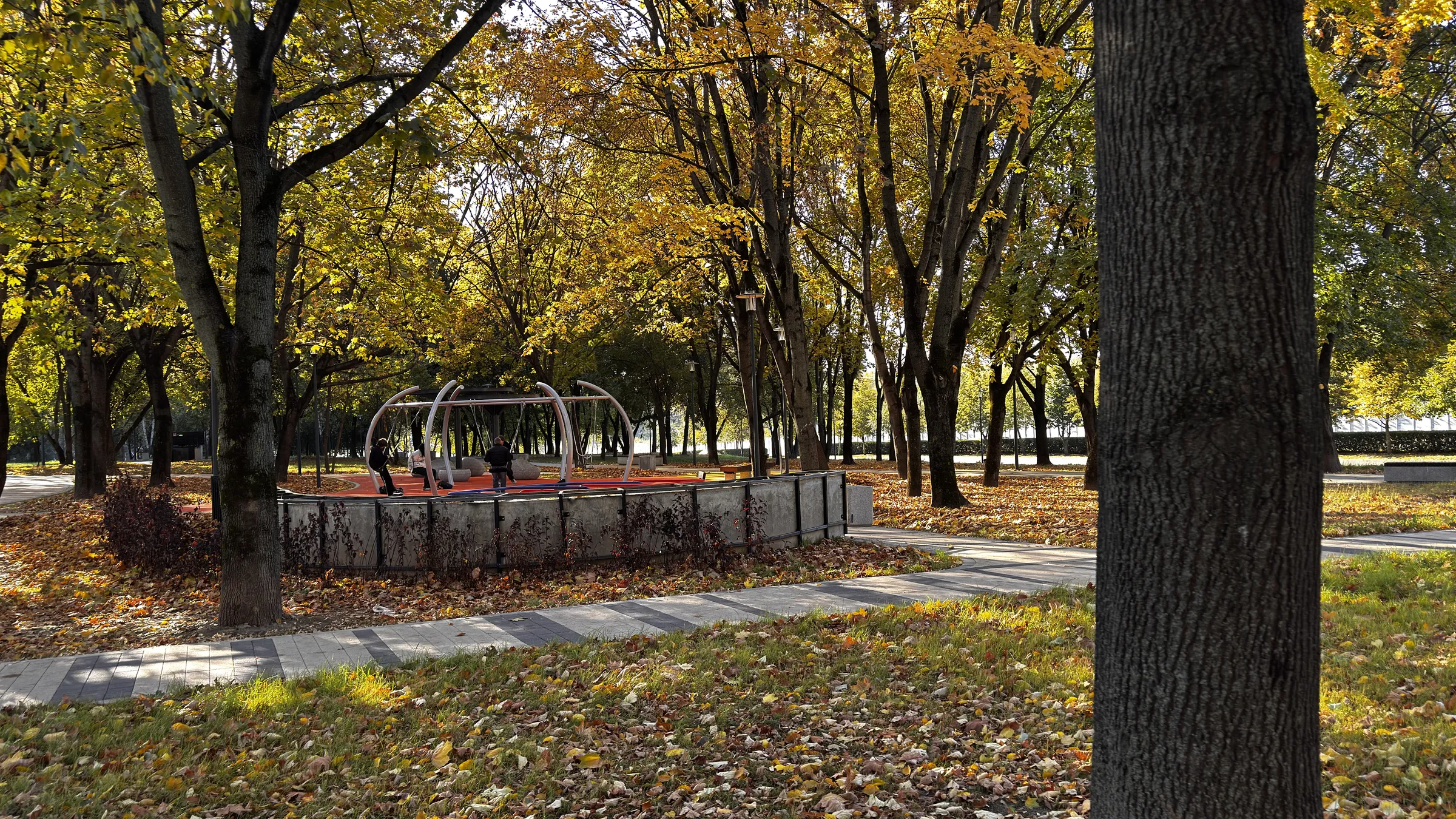 Парк с качелями, фото 3