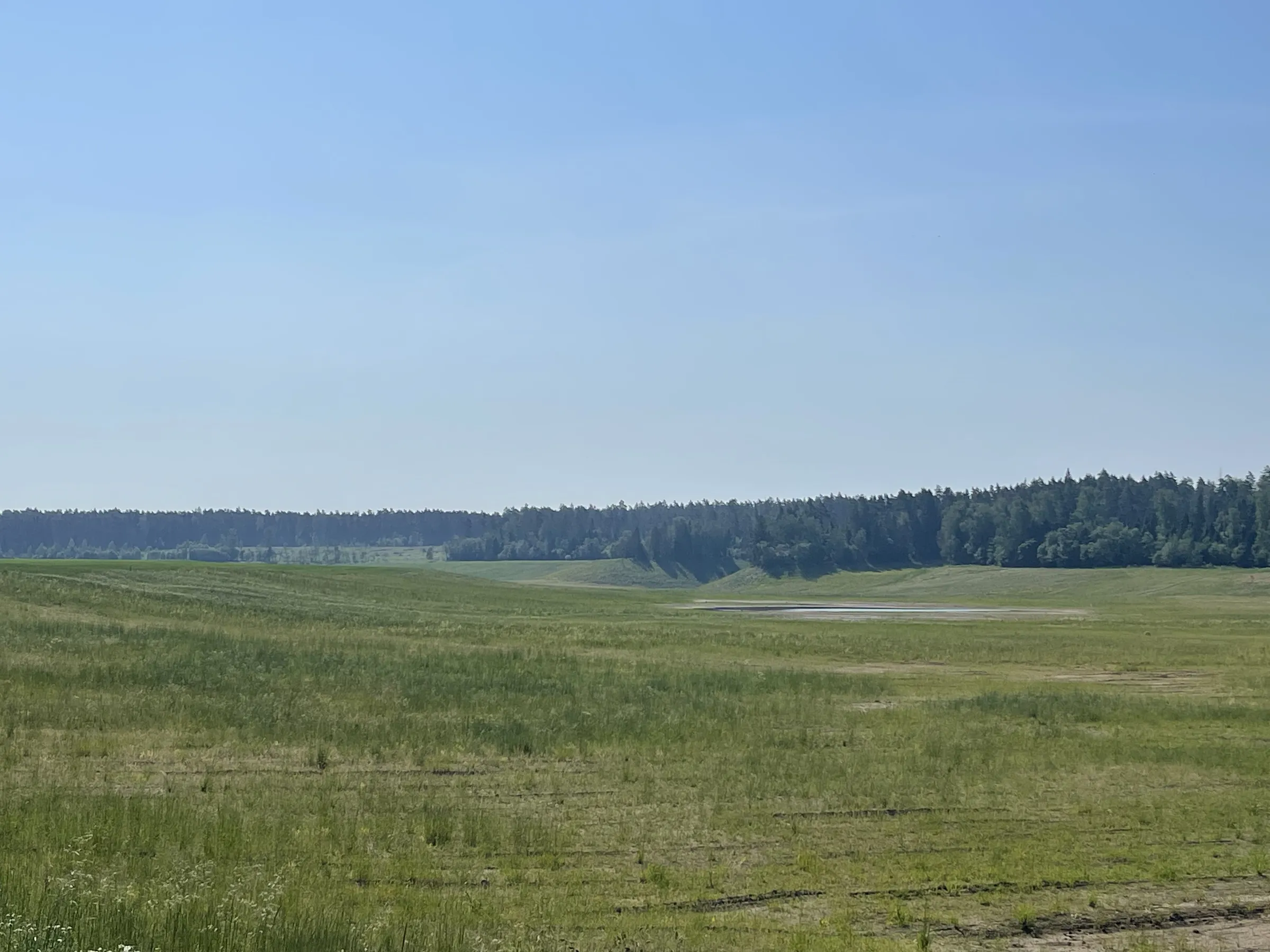 Поля с лесными озёрами, фото 6